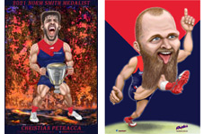 Melbourne Demons Stars